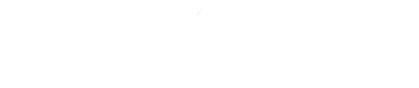 Logo cesinel